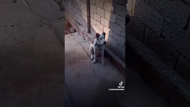 22 июля 2021 г. смотреть онлайн