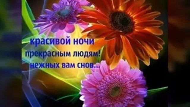 Доброй ночи, красивых снов 10217 (0.30) смотреть онлайн