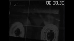 ПРОИСХОЖДЕНИЕ И ЛОР SCP-939 |  ▷ SCP: Secret Laboratory