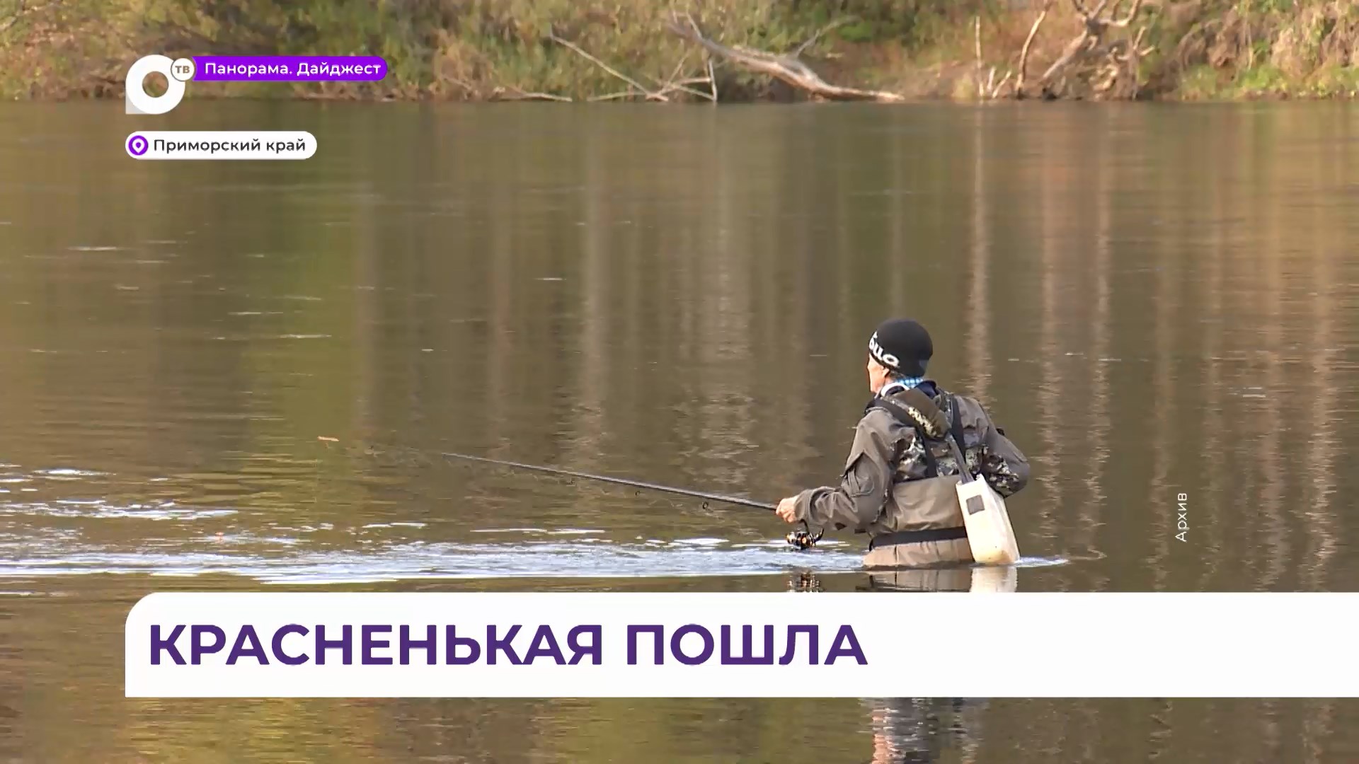 Красная рыба массово идет в реки Приморья – где разрешена рыбалка