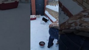 всл Петра Дерюга