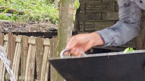 Single mother - Harvesting corn fields to sell at the market. Build a bamboo dining table