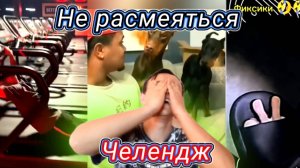 Попробуй, не расмеяться челендж \Юмор\Животные\Смешные моменты.