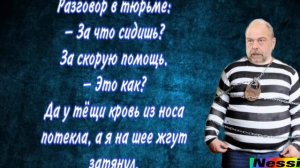 Копилка анекдотов.Сборник анекдотов.Шоу анекдотов.