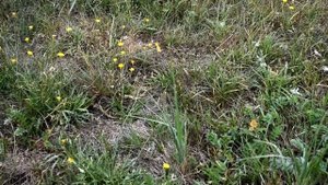 Ловим 100 бабочек!!!!!