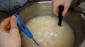 Американский Сыр Монтерей Джек, полутвердый сыр