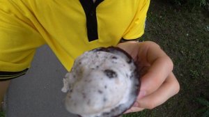 КУПИЛ МОРОЖЕНОЕ OREO - СТОИТ ЛИ БРАТЬ?