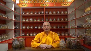 Возникновение болезней