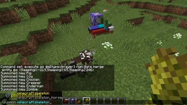 Forcing Minecraft Mobs to Sleep in a Bed смотреть онлайн