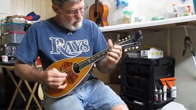 Washburn Mandolin 1897 смотреть онлайн