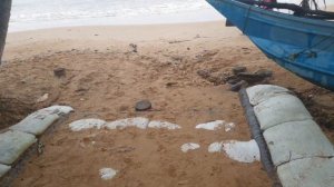 Hikka Tranz by Cinnamon 4* пляж с черепахами и один из лучших отелей в Хиккадуве #шриланка