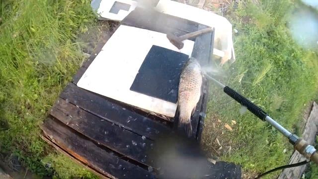 ЧИСТИТЬ РЫБУ КЕРХЕРОМ? Это реально! Кухня Аборигена