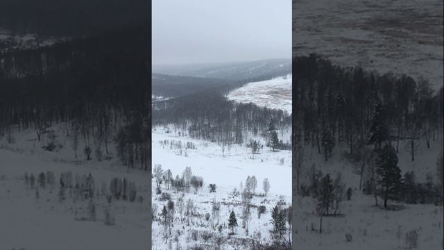 Бердские скалы восточнее села Новососедово