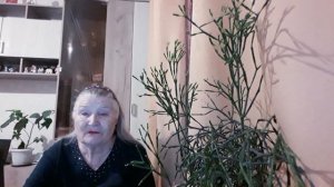 НЕХОРОШАЯ ВСТРЕЧА В ЛЕСУ