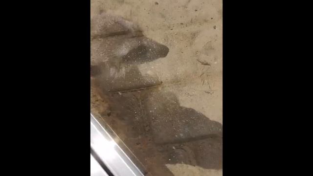 Алиса Хуснутдинова. Китайский сабантуй в Казани 2023. Лето. Солнце. Татарстан смотреть онлайн