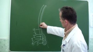 Послойная топография височной области