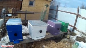 Пчелы/Улья/Весна/Деревня