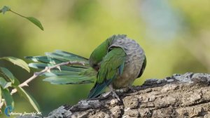 Красивая Мелодия До Слез! Сборник Лучших Мелодий От Которых Мурашки По Телу
