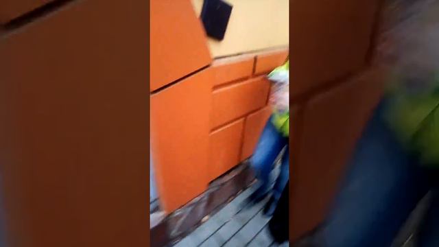 Зоопарк Нижнем Новгороде 2 смотреть онлайн