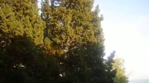 Санаторий "Москва" Гагра Абхазия