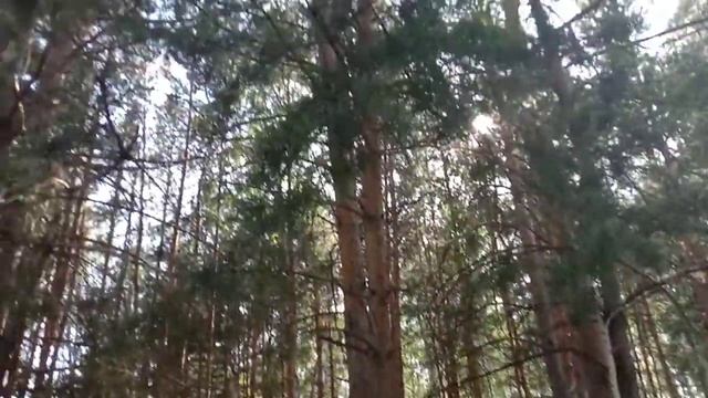 Приехали в санаторий Колос/Омская область смотреть онлайн