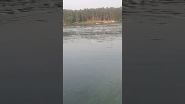 РИБ Аэро Орлан 3700 и Tohatsu 18 в одного. Наваливаем бочком. Часть2 смотреть онлайн