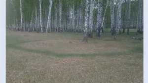 Это Родина моя