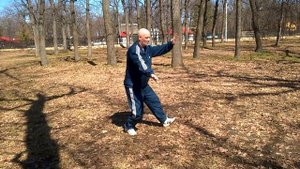 Тайцзи   "Погладить гриву дикой лошади"