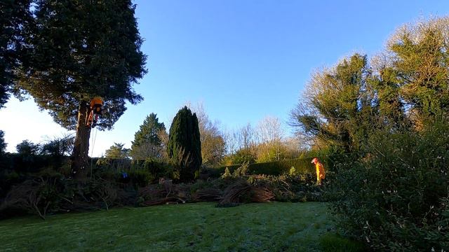 3 Cypress Lawson Removals смотреть онлайн