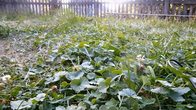 NIkon Coolpix L610 Q-test 1792x1008 18Mbits/s 3-pass смотреть онлайн