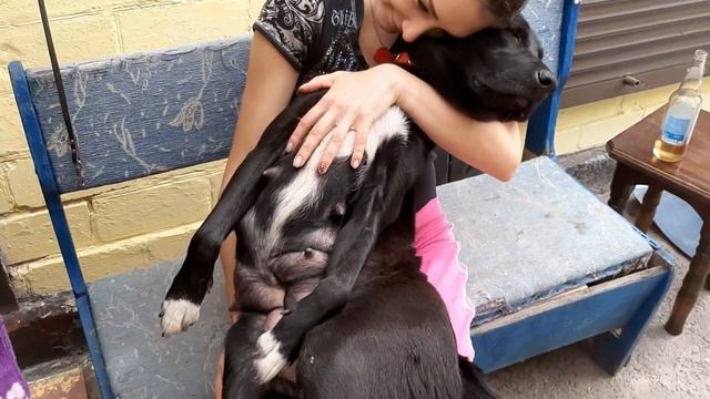 Я снова лузер)Делаю все быстро и качественно)Женя, Люда, пилят и спасают карасей👍 смотреть онлайн