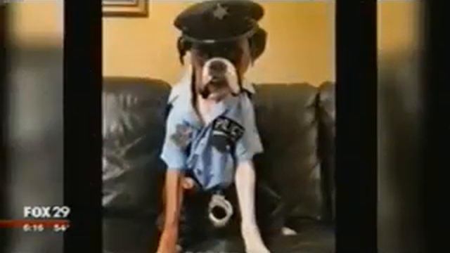 Немецкий боксер суперзвезда смотреть онлайн