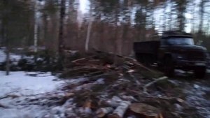 В деляне. МТЗ 82.Грузим деловой лес.