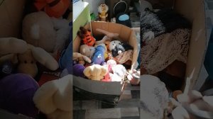 Как и ждали, мой самодельный автомат хватайка 4 часть.