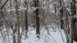 Подъём зайца