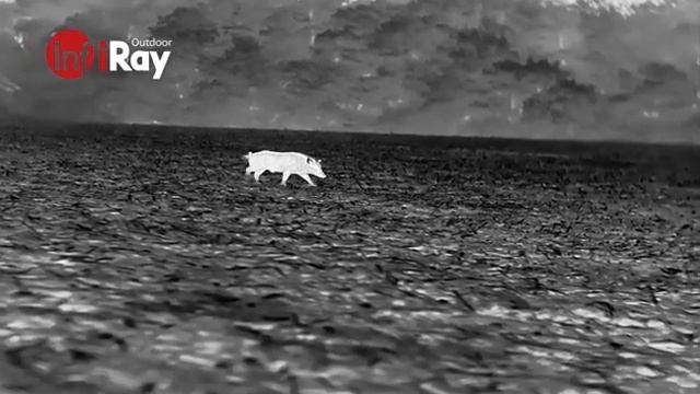 The Clear Image From InfiRay Outdoor with 1280 Detector смотреть онлайн