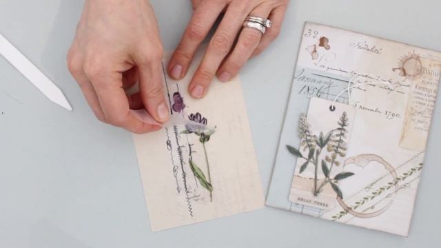 Curators Botanical by 49 and Market - Paper Wishes Weekly Webisodes  PaperWishes.com