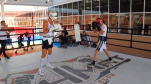 Спарринги в Грозном. Влог. Братья Воробьевы. Путь к чемпионству.