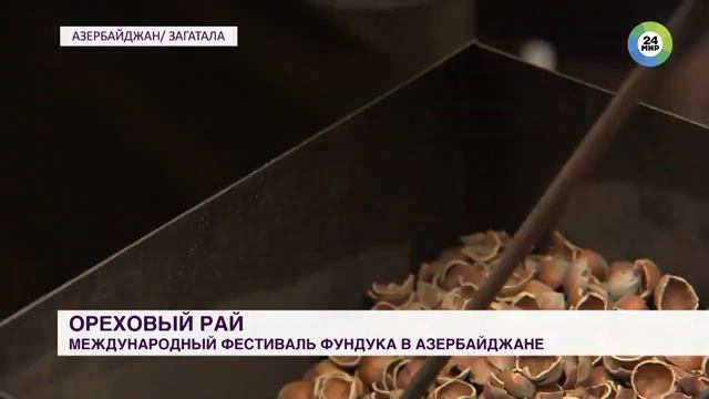 Если в мире есть рай фундука,он в Азербайджане! смотреть онлайн