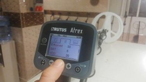RUTUS ATREX DEDEKTÖR