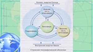 География 7 кл Кopинская §64 Закономерности географической оболочки