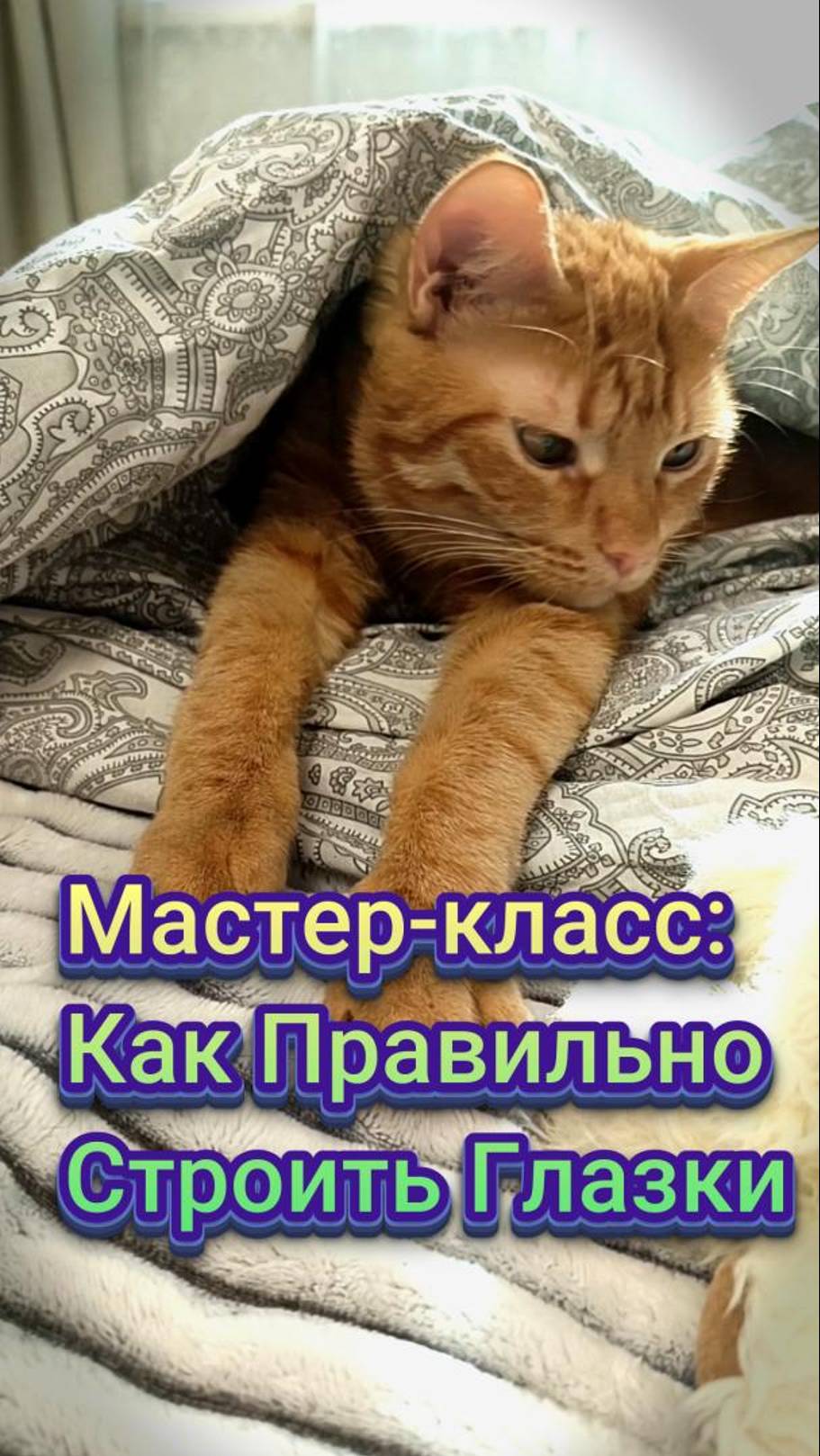 Милый котик строит глазки. Кот Феня, он же Феникс