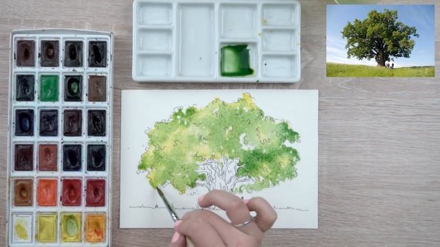 Как нарисовать дерево. Урок рисования. Скетчинг для начинающих.