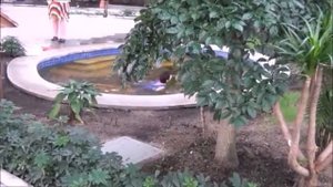 Открытие Китая 07 Горнолыжный курорт Ябули и горячие источники