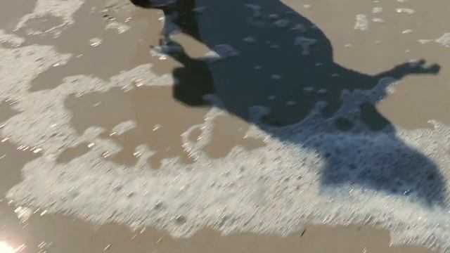 ЧАЙКА CHAYKA "Смейся" смотреть онлайн