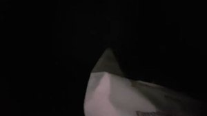 Какое сцепление нужно ставить и что менять при этом, на Уазах семейства Профи и Патриот...