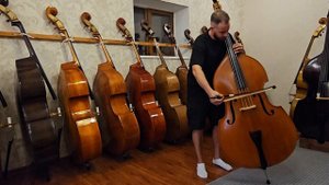 Контрабас №141