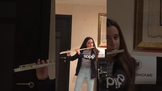 Sonata for flûte and piano in C-G.Donizetti #noisuoniamo смотреть онлайн