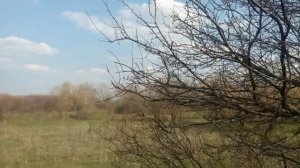 Восход Мотобол СМБ-3