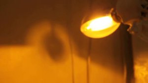 Фитосветильник для рассады - ДНаЗ 100 Вт "Селектрод"